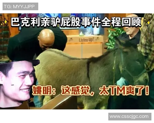 姚明与驴的奇妙旅程探讨人与动物的友谊与理解
