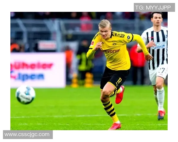 瑞典足球明星哈兰德的崛起与未来展望解析